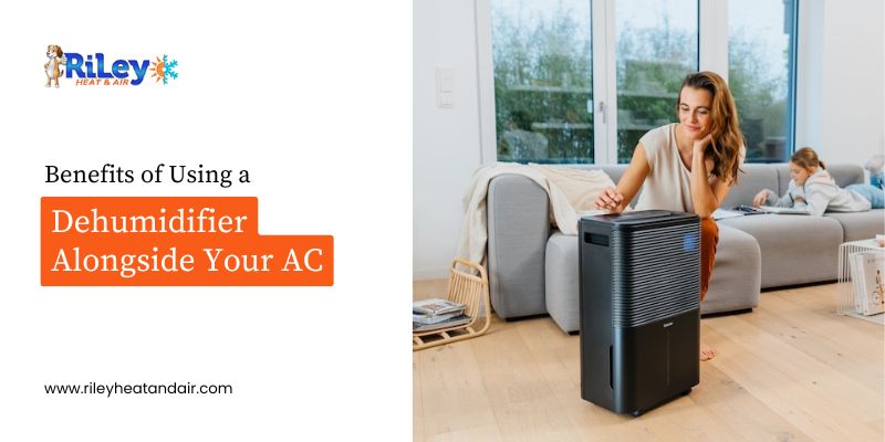 Dehumidifier Alongside Your AC - Riley Heat & Air