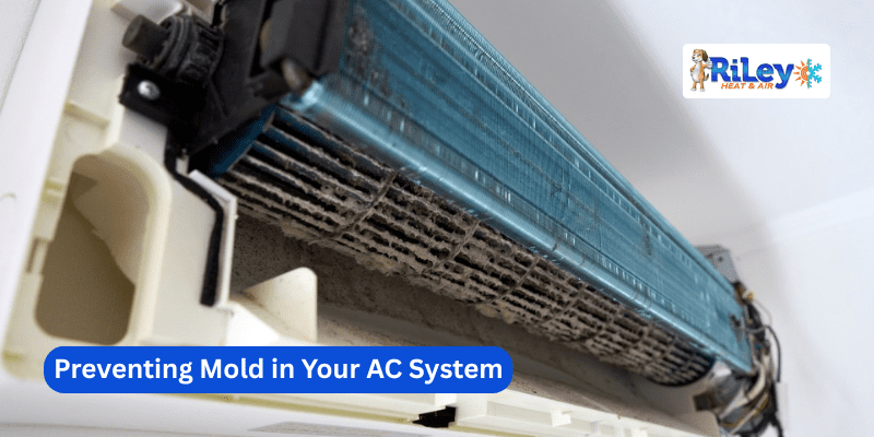 Preventing Mold in Your AC System