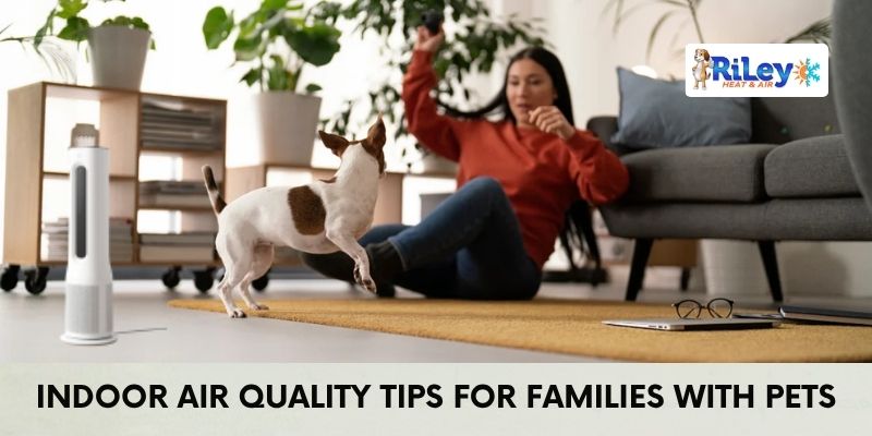Indoor Air Quality Tips