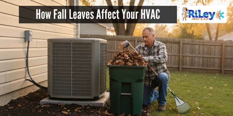 How Fall Leaves Affect Your HVAC